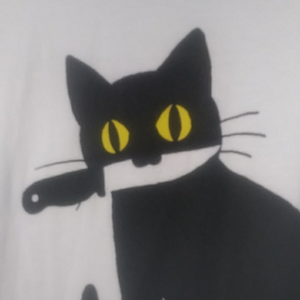 Hot Topic cat tee - Picture 3 of 4